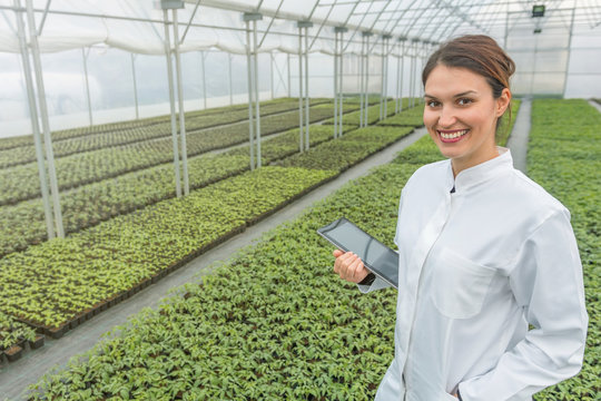 Greenhouse Seedlings Growth. Female Agricultural Engineer using tablet