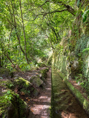 Fototapeta premium Walking alona a Levada in Madeira, Portugal