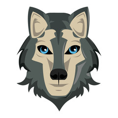 Wolf Wild animal head vector illustration graphic design