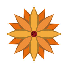 Beautiful flower symbol vector illustration graphic design