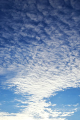 Naklejka na ściany i meble Beautiful white cumulus clouds on blue early spring evening sky before sunset.