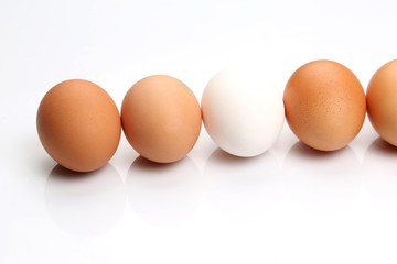 chicken eggs on white background.