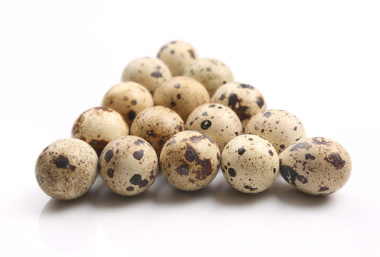 quail eggs on white background.