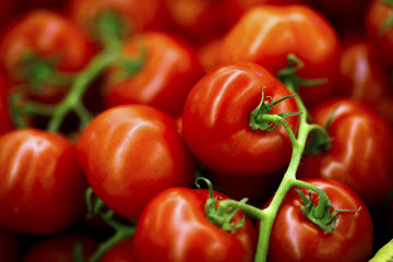 Tomatoes Background