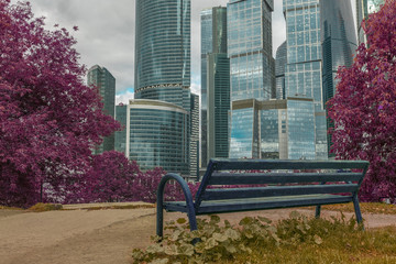 скамейка с видом на небоскребы в парке на фоне розовых деревьев сакуры весной  © lufotolab