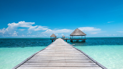 Fototapeta premium Caribbean paradise found: the perfect house over the clear water of Cuba sea.