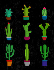 Vector cactus icons