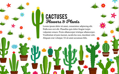 Vector cactus illustration