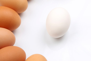 chicken eggs on white background.