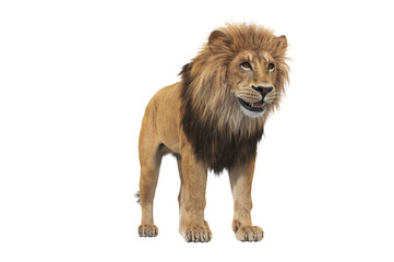 Obraz na płótnie Canvas Lion animal beige massive carnivore. 3D rendering