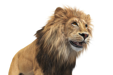 Lion orange leo beautiful mammal, close view. 3D rendering