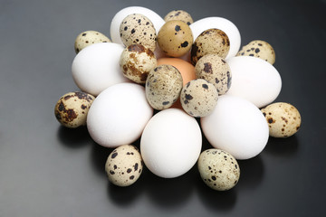 different quail and chicken eggs lie together.