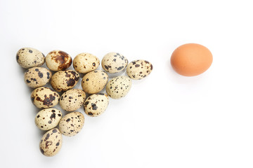 chicken and quail eggs on white background.