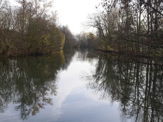 river Tauber in Germany , in autumn on a cloudy day with trees on the shore, reflections on the water