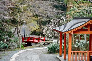 Traditional Japanese garden(Manyou park)