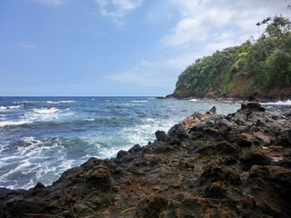 Fototapeta na wymiar Rocky black lava coastline in Hawaii