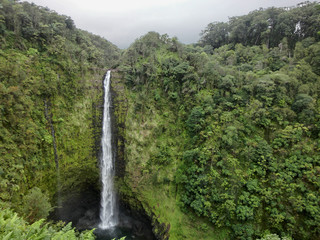 Fototapeta na wymiar Akaka falls Hawaii big island waterfall