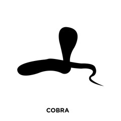 cobra icon on white background, in black, vector icon illustration