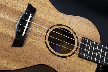Obraz premium ukulele guitar close up parts