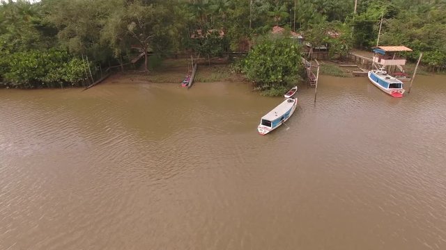 Estado Par&aacute;- FielBee