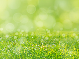 Fresh green grass lawn spring background