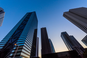 Obraz premium 夜明け前の新宿のビル群 The sky at daybreak in Shinjyuku, Tokyo, Japan