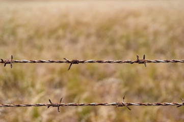 Barbed wire against yellow grass on the background