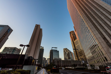 Fototapeta premium 夜明け直後の新宿のビル群 It's getting light in Shinjyuku, Tokyo