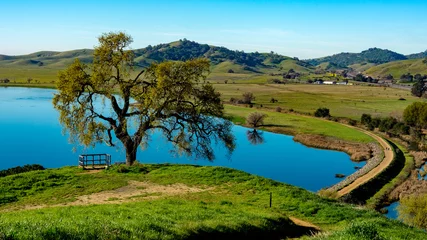 Fototapeten Lagoon Valley Park Vacaville California USA featuring lake overview from hill lone oak tree and blue sky © AlessandraRC