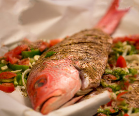 Mediterranean Whole Red Snapper Fish