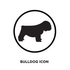 bulldog icon