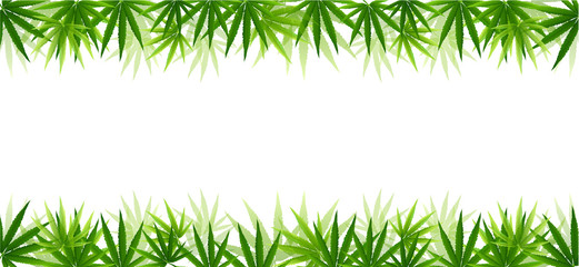 Frame formed with hemp (marijuana) leaves isolated on white.