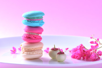Obraz na płótnie Canvas Colorful macarons or macaroons dessert sweet beautiful to eat