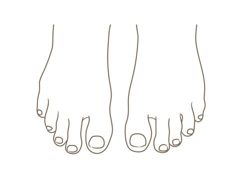 Female or male foot sole, barefoot, top view. Toenails with pedicure.Vector illustration, hand drawn cartoon style isolated on white, black and white contour
