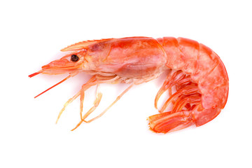 Red cooked prawn or shrimp isolated on white background. Top view