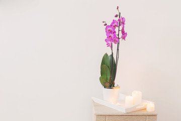 orchid and candles on white background