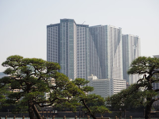 Obraz premium 浜離宮庭園からの眺望