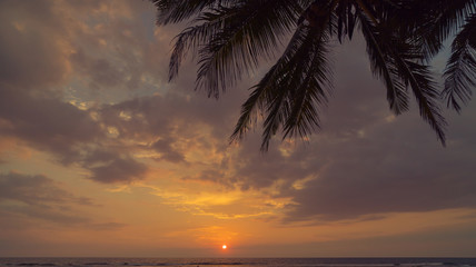 Fototapeta na wymiar Sunset on the shore of the Indian Ocean.