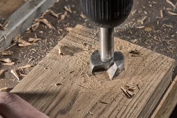 drilling of oak wood