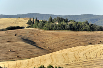Abgeerntete Felder südlich von Siena, Toscana, Italien, Europa