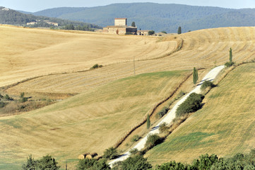 Fototapeta na wymiar Toscana, Italien, Europa