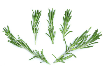 Fototapeta premium Fresh green rosemary isolated on a white background. Top view. Flat lay