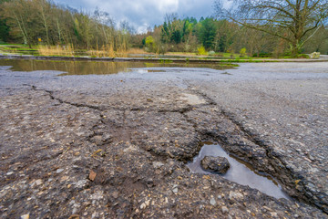 After rain in the park. Close up