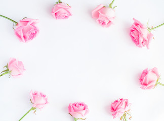 Fototapeta na wymiar Pink roses on white background