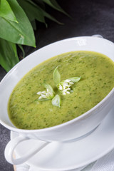 green wild garlic soup