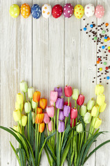 Colorful Easter eggs and tulips on wood