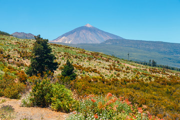 El Teide Volcano in Tenerife, Canary Islands, Spain