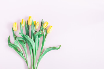 Flowers composition. Yellow tulip flowers on pink background. Flat lay, top view, copy space