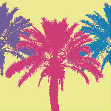 Tropical palm tree silhouettes. Vector illustration