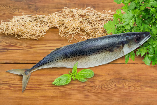 Atlantic chub mackerel on a wooden surface with fishing net